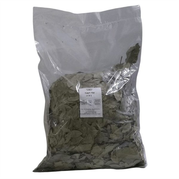 עלי דפנה 1 ק"ג עד"ח כשל"פ ב"י ללא קטניות