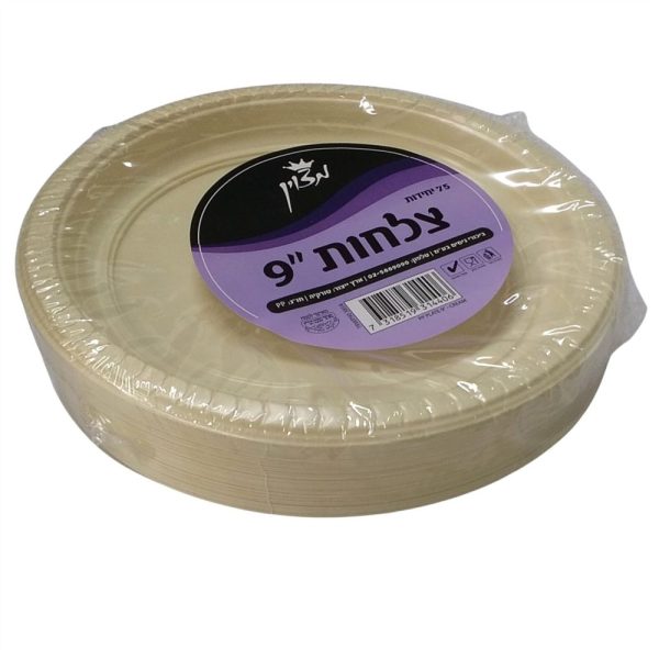 צלחת גדול חזק מספר 9 בצבע קרם 75 יחידות